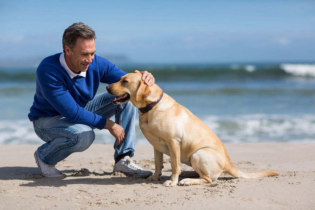 Natural Remedies For Calming A Dog