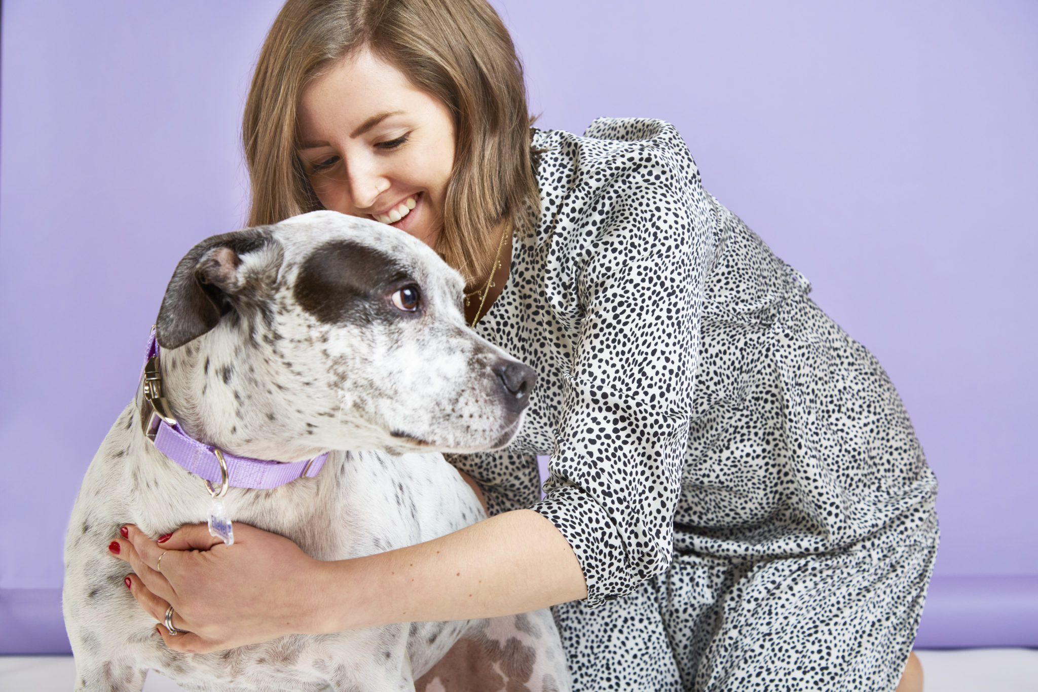 Coconut Oil For Dogs Can They Have It ElleVet Sciences