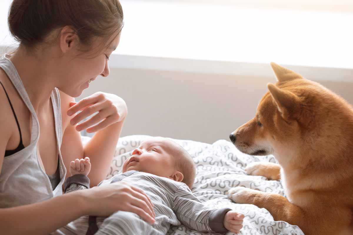 Dog Meets Baby