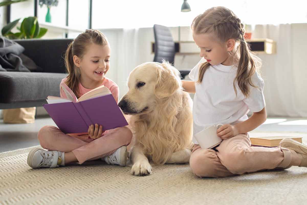 what is the best dog for a small child