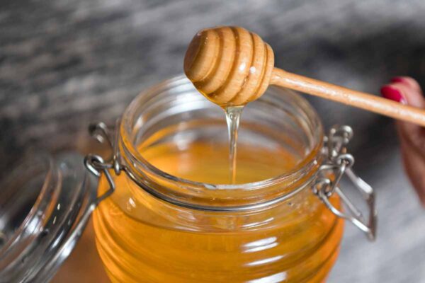 Is manuka honey good for dogs? | ElleVet Sciences