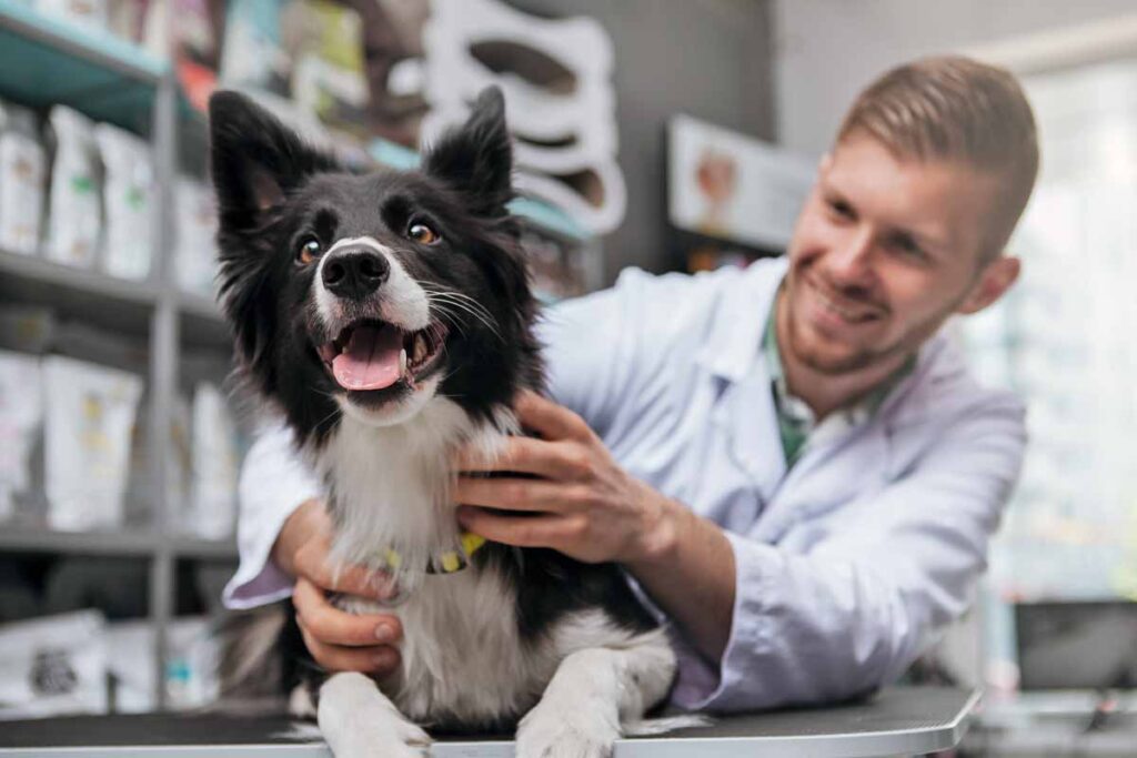 dog smiling at the vet while being held