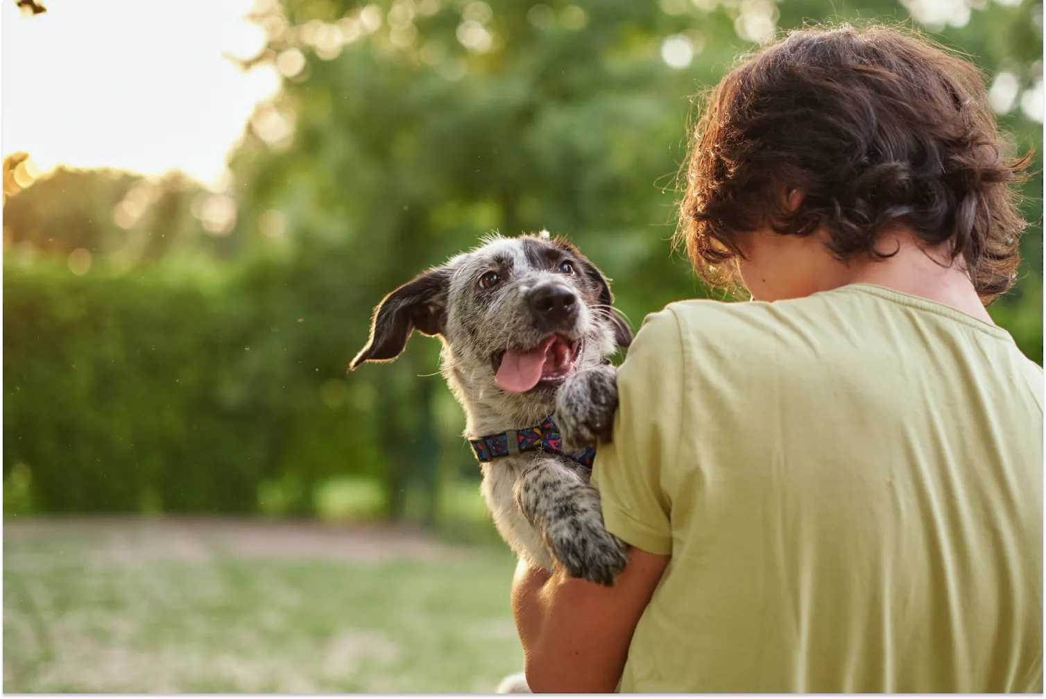 do-puppies-breathe-fast-when-sleeping-simple-and-effective-tips