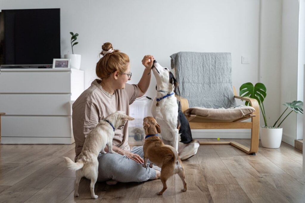 Dogs eating peanuts from owners heand