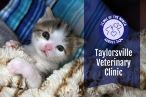 Taylorsville Veterinary Clinic: ElleVet’s August Clinic of the Month 