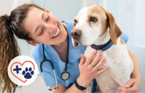 Celebrating Veterinary Technicians