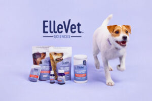 ElleVet Sciences Promotes Haley Israelson to Chief Executive Officer