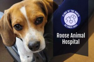 Roose Animal Hospital: ElleVet’s October Clinic of the Month 